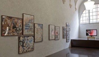 Mostra di Joan Fontcuberta, Gastropoda - Palazzo dei Musei © Claudio Cigarini