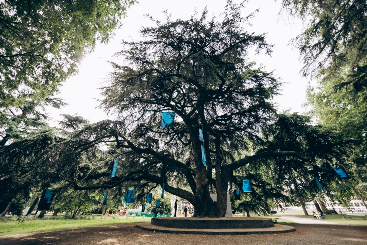 FE2021, Parco del Popolo, Jeff Mermelstein, Ph © Melissa Iannace FE2021, Parco del Popolo, Jeff Mermelstein, Ph © Melissa Iannace