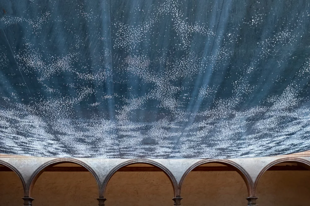 FE2021, Installazione di Sophie Whettnall, Ph © Riccardo Varini FE2021, Installazione di Sophie Whettnall, Ph © Riccardo Varini