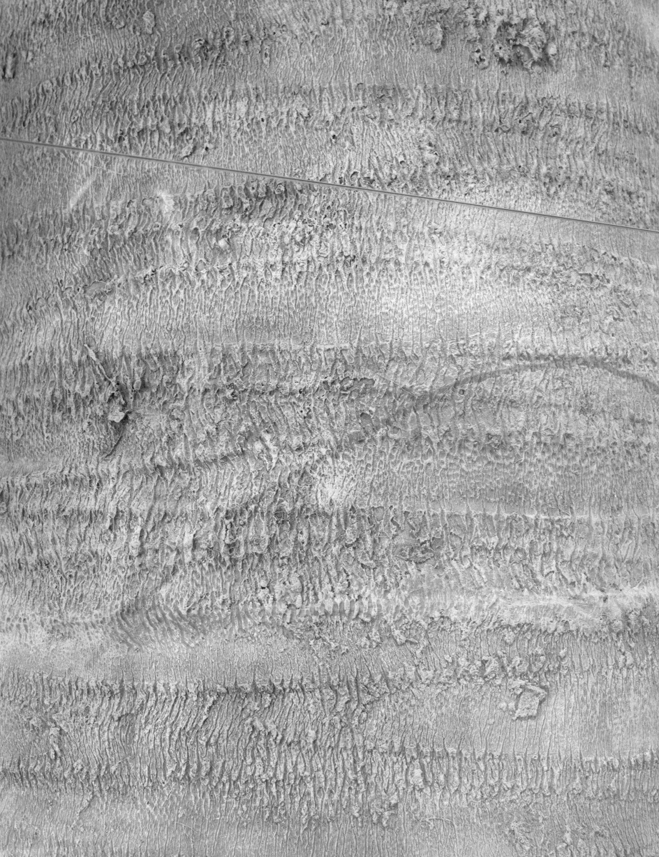 Federica Mambrini_L’albergo della lontananza_Images_4