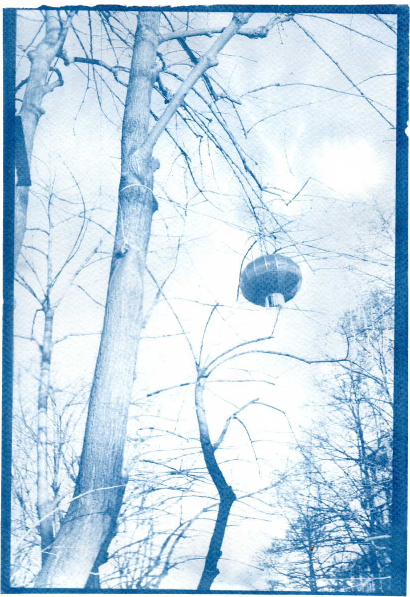 img20260222_21225012