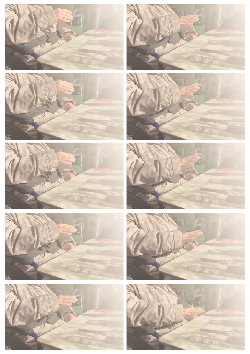 Juliette Roy Botanero