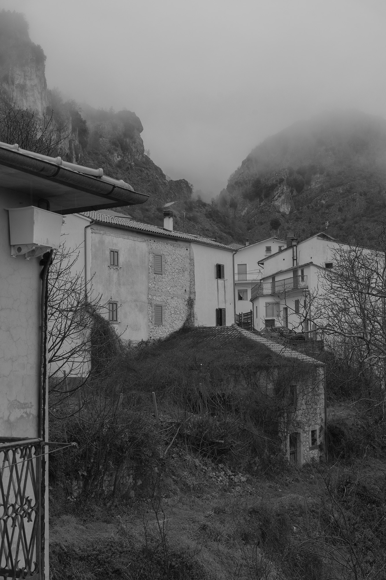 © Alessandra Savelli