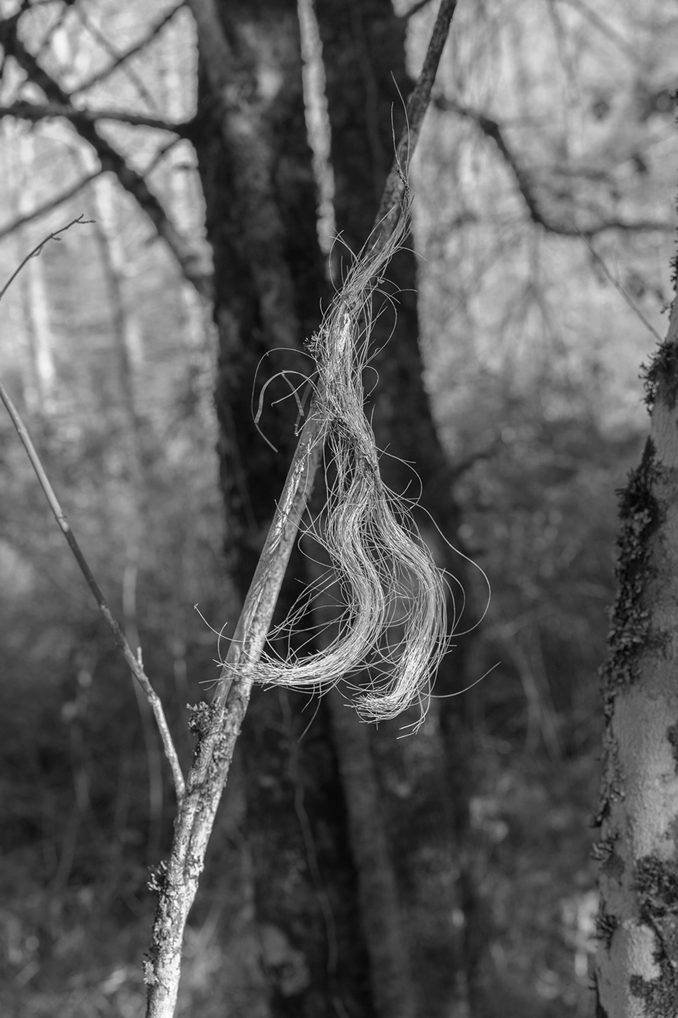 © Alessandra Savelli