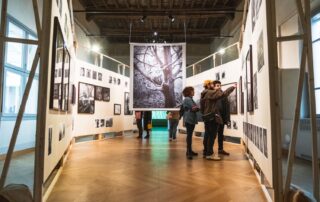 FE 2024, mostre a Palazzo da Mosto, ph outherecollective (32)