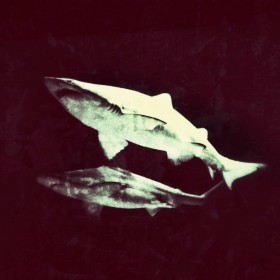 © Giuliano Ferrari, Grand Tour, Genova 2008