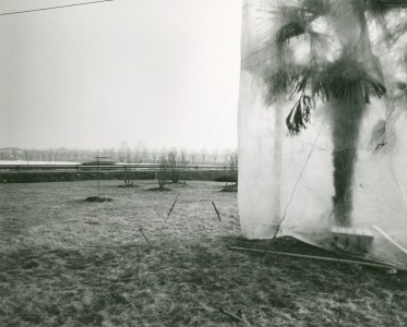 © Mimmo Jodice_Via Emilia verso Reggio (1985_Courtesy Biblioteca Panizzi)