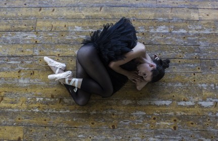 Alice Vacondio, Nidi d'affetto