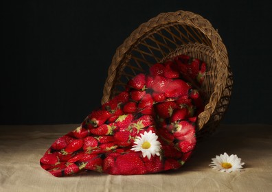 Vilma Pimenoff,  21st Century Still Life