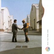 <b>Pink Floyd - Wish You Were Here (1975)</b><br />
Nella foto di Storm Thorgerson il fuoco su uno dei due uomini d’affari è reale. Per lo scatto vennero impiegati due stuntmen, uno dei quali si bruciò i baffi a causa del vento contrario. La copertina, che nelle intenzioni della band doveva rappresentare la difficoltà di esprimere i sentimenti per il timore di restare “scottati”, venne giudicata troppo violenta da diversi negozi di dischi e racchiusa all’interno di una busta.