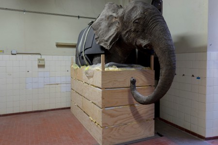 Museo di Storia Naturale, Università di Pavia, 2016
© Joan Fontcuberta