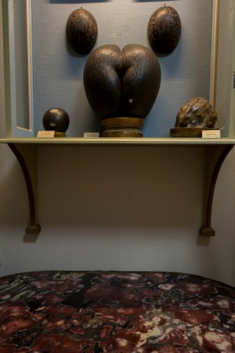 Musei Civici di Reggio Emilia, Collezione Lazzaro Spallanzani, 2015
© Joan Fontcuberta