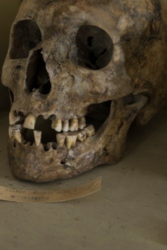 Musei Civici di Reggio Emilia, Museo Chierici, 2015
© Joan Fontcuberta