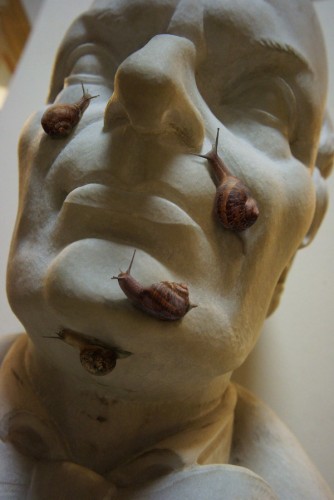 Musei Civici di Reggio Emilia, Collezione Lazzaro Spallanzani, 2015
© Joan Fontcuberta