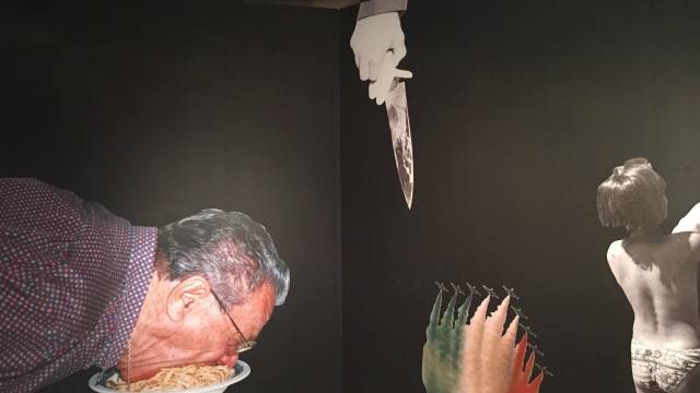 Mostra di Luca Santese e Pasquale Bove, chiostri di San Domenico