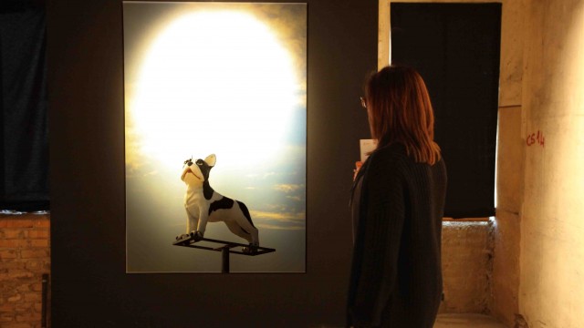 Mostra di Lorenzo Vitturi, chiostri di San Pietro