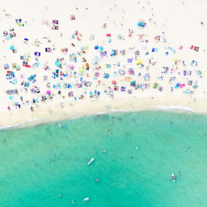 Antoine Rose, Insectarium, 2013. Fotografia su diasec, 133 x 100 cm. Courtesy Mazel Galerie, Bruxelles