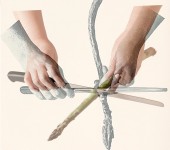 Francesca Catastini, Opening a Spinal Cord, Cutting an Asparagus, Lucca, 2014, 30x30 cm. Courtesy: the artist