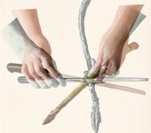 Francesca Catastini, Opening a Spinal Cord, Cutting an Asparagus, Lucca, 2014, 30x30 cm. Courtesy: the artist