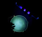 Giorgio Di Noto, The Iceberg, Roma, 2015. Courtesy: Giorgio Di Noto