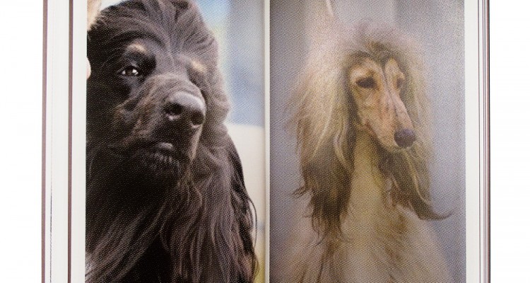 Grégoire Pujade-Lauraine, From The Significant Savages, 2011, courtesy RVB Books