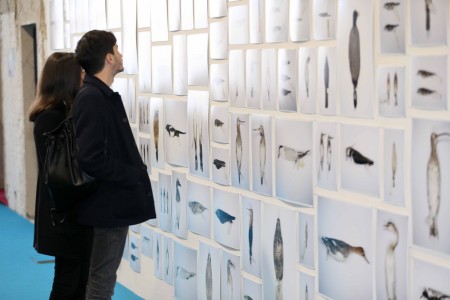 Les Nouveaux Encyclopédistes