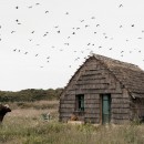 Eravamo terraferma, Valentina Vannicola