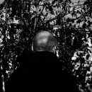 Yulia Tikhomirova, Landslide