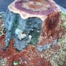 Yulia Tikhomirova, Landslide