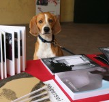 PARENTESI Editoria indipendente - book fair