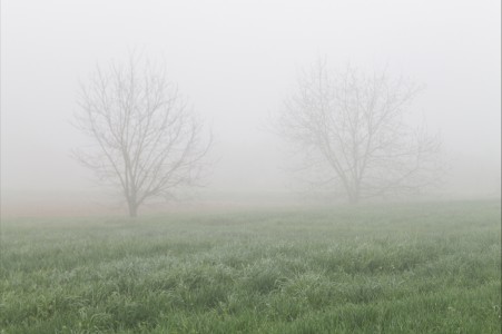 © Tommaso Braglia e Guglielmo Giomi