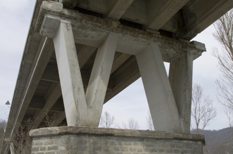 © Tommaso Braglia e Guglielmo Giomi