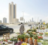 Michele Nastasi, Plant Souk, Riyadh Arabia Saudita, 2017 ©Michele Nastasi