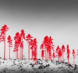 Jaakko Kahilaniemi, Next Possible Victims 2018 ©Jaakko Kahilaniemi