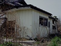 Vittorio Mortarotti, The First Day of Good Weather