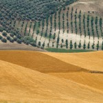 Franco Fontana Spagna, 1985 Stampa Colour Fine Art Giclée, Hahnemuhle Baryta, Copyright Franco Fontana. Courtesy Franco Fontana Studio