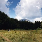 Frank Gohlk, dalla serie Conversations in the Park , Parco del Gigante, 1994