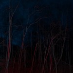 © Francesco Merlini