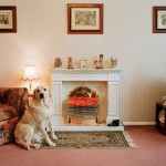 Martin Parr, I think we are looking for a look that is established warm comfortable traditional, From 'Signs of the Times', England 1991 © Martin Parr Magnum Photos