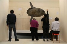 Incontri! Arte e persone, laboratorio di Luca Manfredi ai Musei Civici di Reggio Emilia