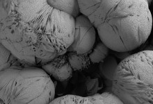 Tottori © Marco Di Noia