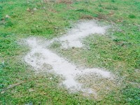 Mattia Marzorati, Shadows
Unidentified material dispersed on a corn field a few meters from the Kalos quarry and from various landfills with asbestos and high toxic waste. The inhabitants of the area report irregularities in the transport and storage of waste, which is sometimes dispersed by the wind. In Vighizzolo a higher incidence of respiratory disorders in children has been recorded, as well as a number of premature births 62% higher than in the rest of the province. 
(https://www.internazionale.it/reportage/marina-forti/2017/05/29/rifiuti-discariche-provincia-brescia)
(https://www.panorama.it/news/montichiari-rifiuti-vivere-coltivare-accanto-alla-discarica)