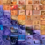 Curiosa Meravigliosa Joan Fontcuberta, dettaglio 2