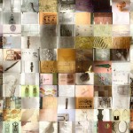 Curiosa Meravigliosa Joan Fontcuberta, dettaglio 4