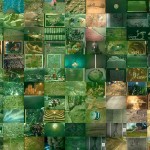 Curiosa Meravigliosa Joan Fontcuberta, dettaglio