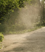 Dear Kairos © Simon Bray