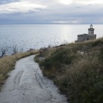 L'isola degli arrusi © Luana Rigolli