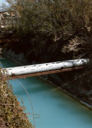 Perchè tutti ti perdonano? © Alex Tabellini