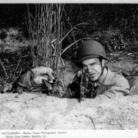 Fox-Hole Buddies, Quantico, VA, Marine Base, 14 October 1943, USMC Archives
From “Shifters” by Marta Bogdańska