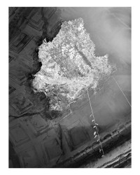 © Benedetta Casagrande